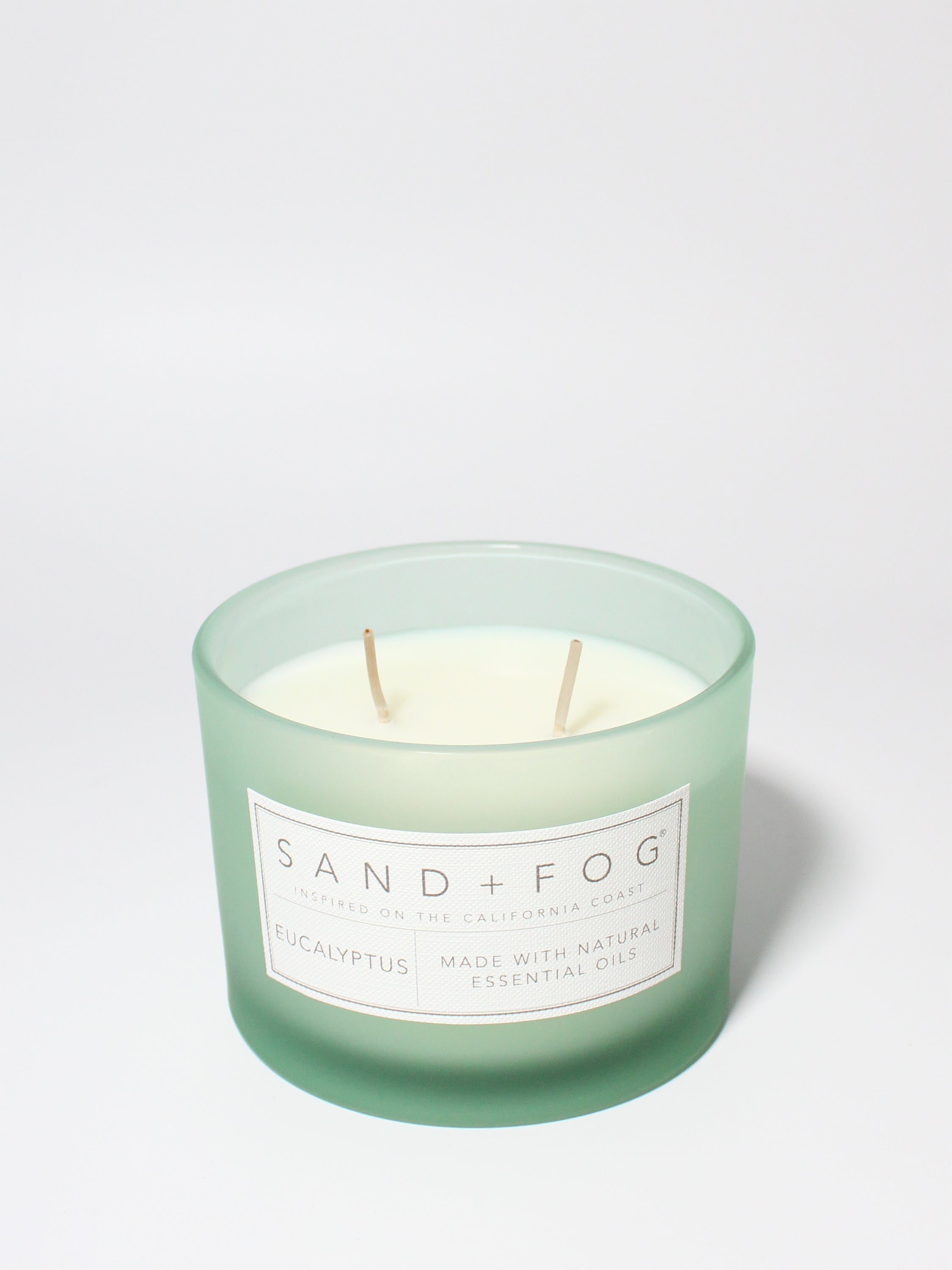 Eucalyptus 12 oz scented candle - Scented Candle