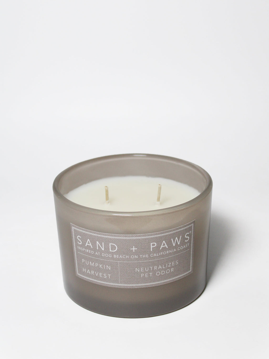 Sand + Paws Pumpkin Harvest 12 oz scented candle - Signature Scent