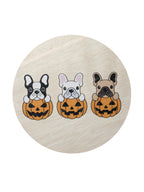 Sand + Paws Pumpkin Harvest 12 oz scented candle - Signature Scent