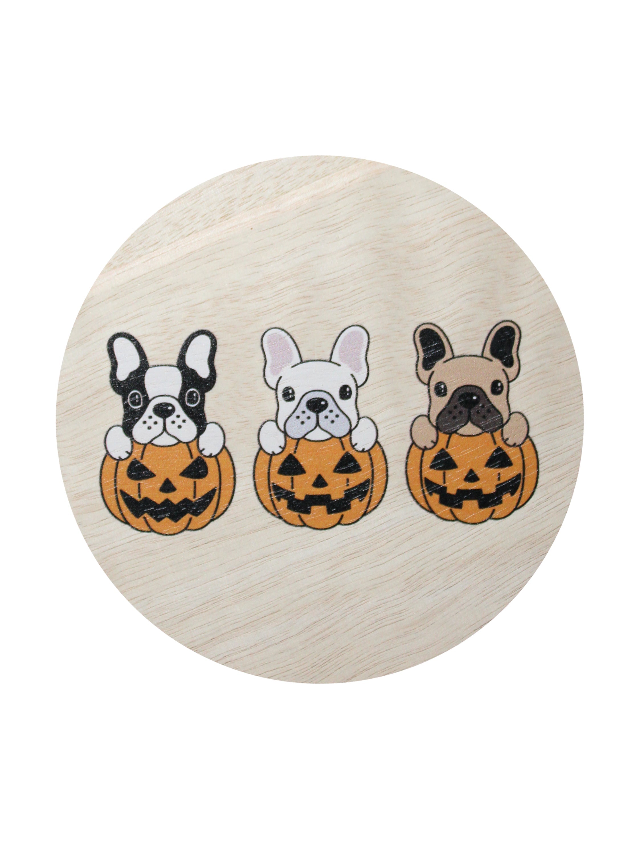 Sand + Paws Pumpkin Harvest 12 oz scented candle - Signature Scent