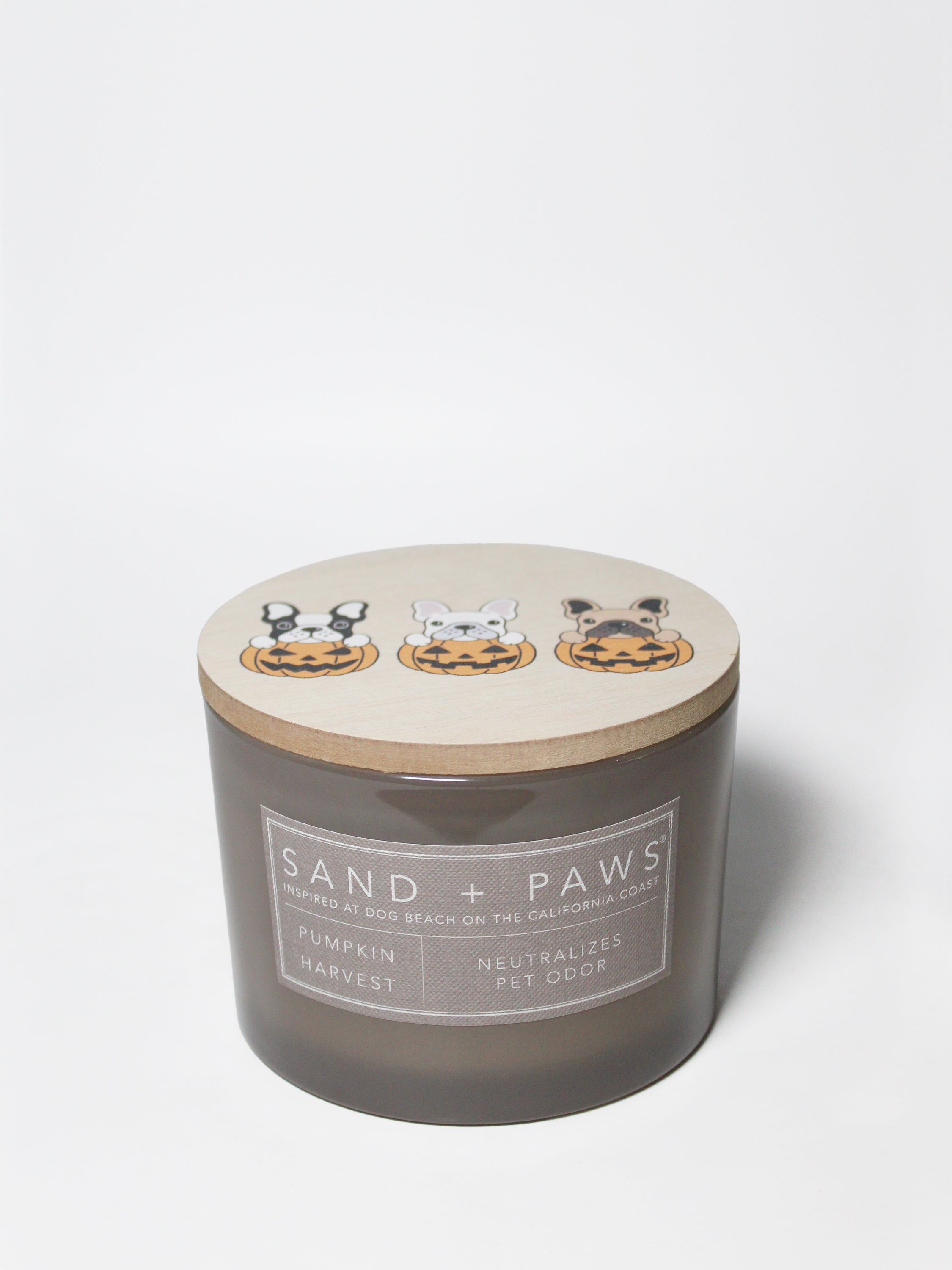 Sand + Paws Pumpkin Harvest 12 oz scented candle - Signature Scent