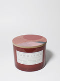 Sun-n-Fun 12 oz scented candle - Scented Candle