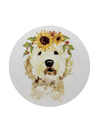 Sand + Paws Mango Tangerine 12 oz scented candle - Signature Scent