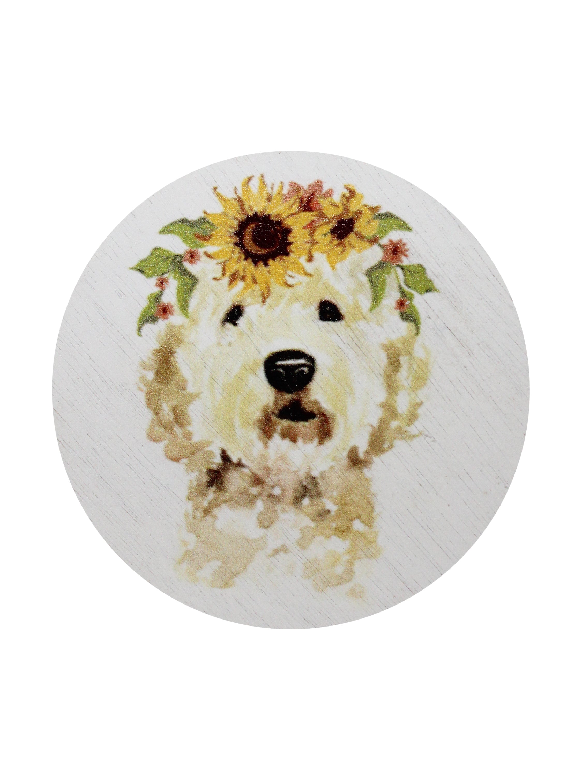 Sand + Paws Mango Tangerine 12 oz scented candle - Signature Scent