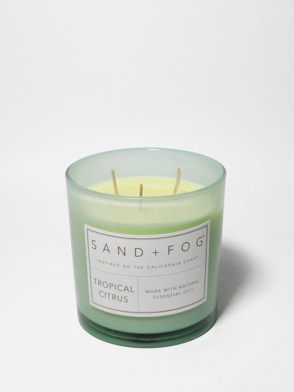 Tropical Citrus 21 oz scented candle - Scented Candle