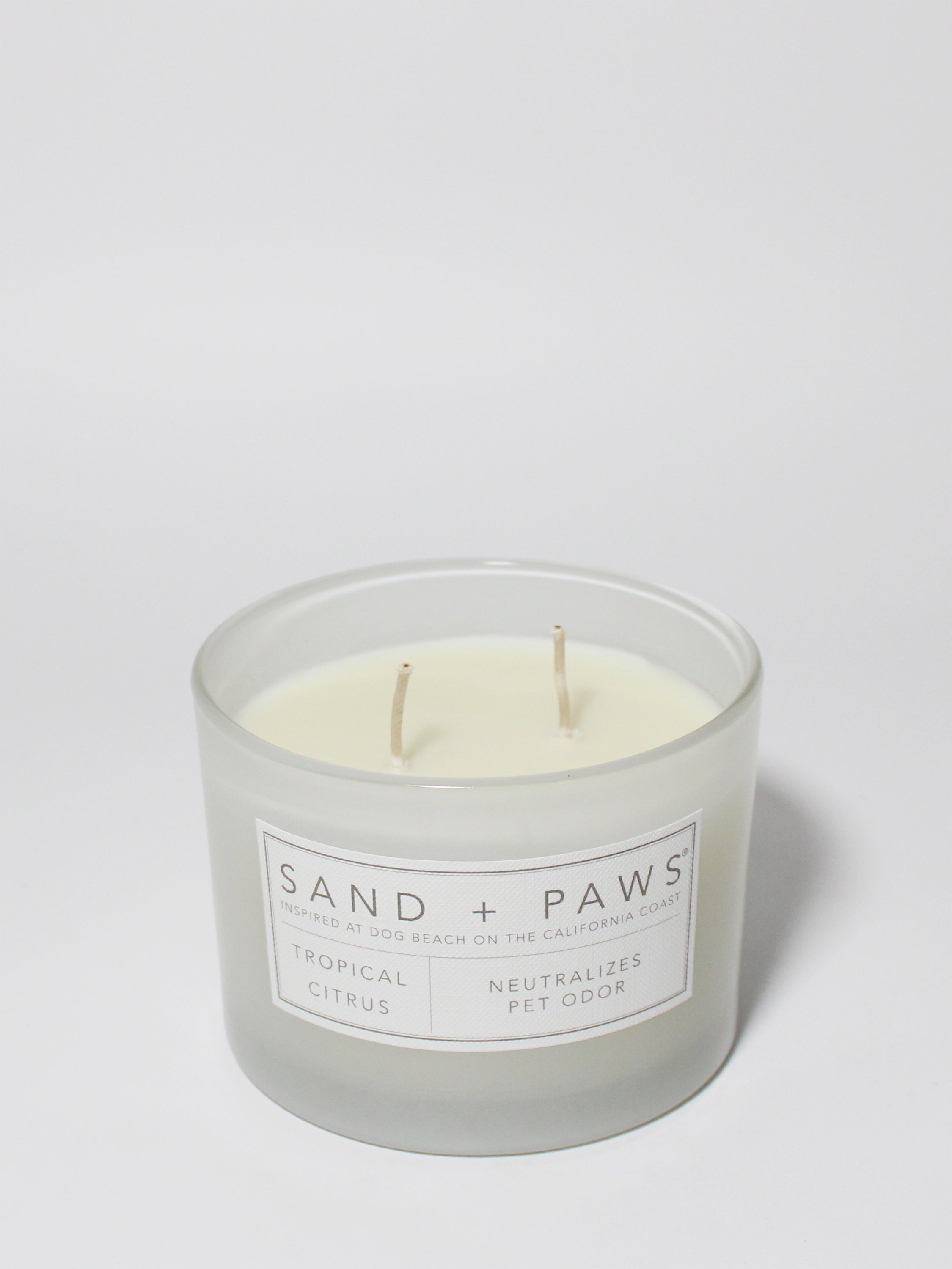 Sand + Paws Tropical Citrus 12 oz scented candle - Signature Scent
