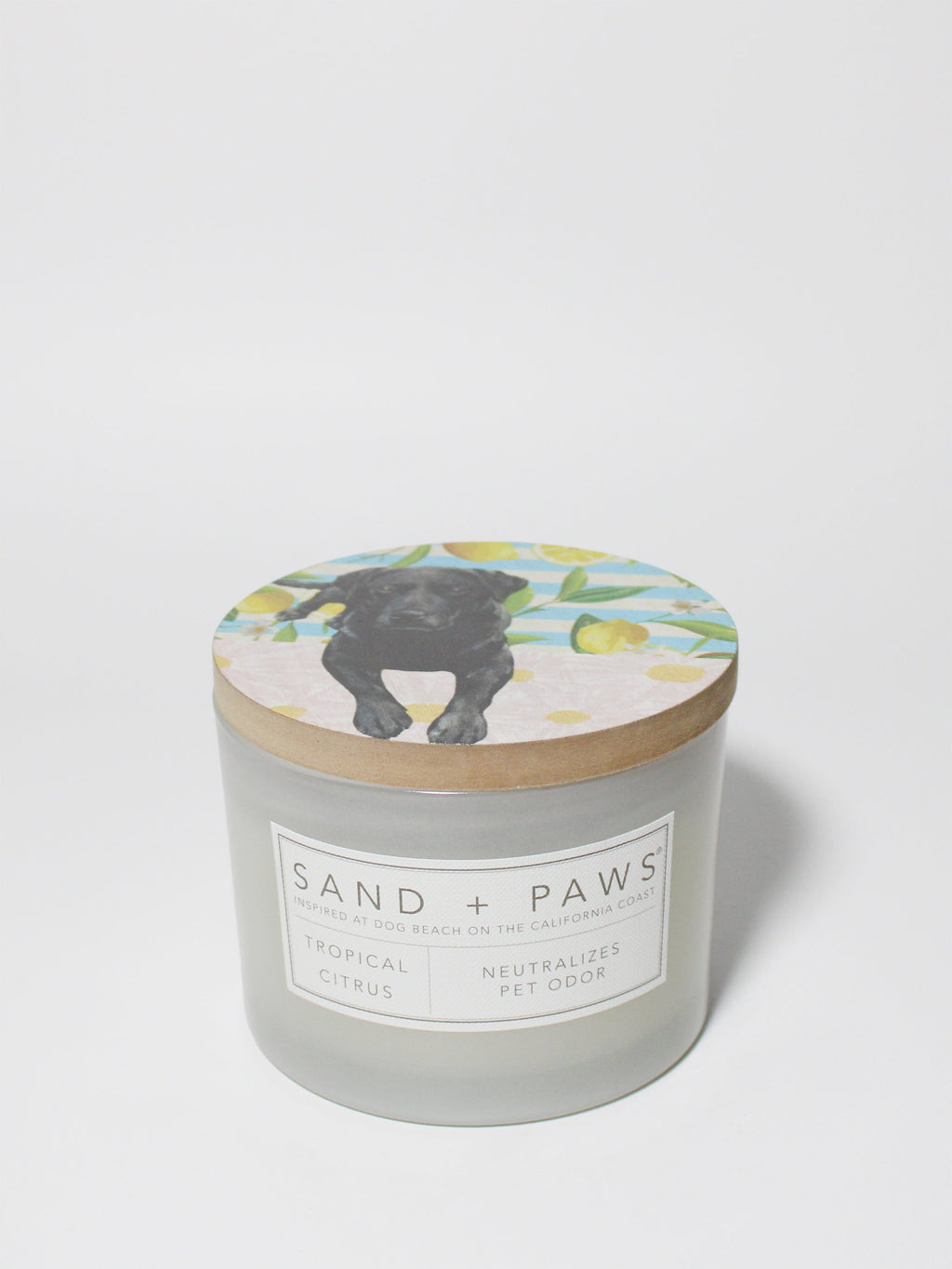 Sand + Paws Tropical Citrus 12 oz scented candle - Signature Scent