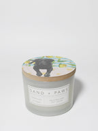 Sand + Paws Tropical Citrus 12 oz scented candle - Signature Scent