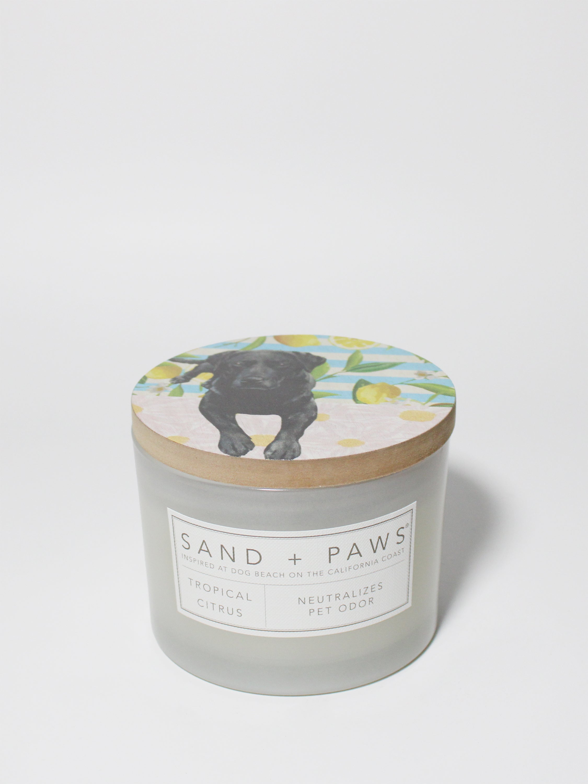 Sand + Paws Tropical Citrus 12 oz scented candle - Signature Scent