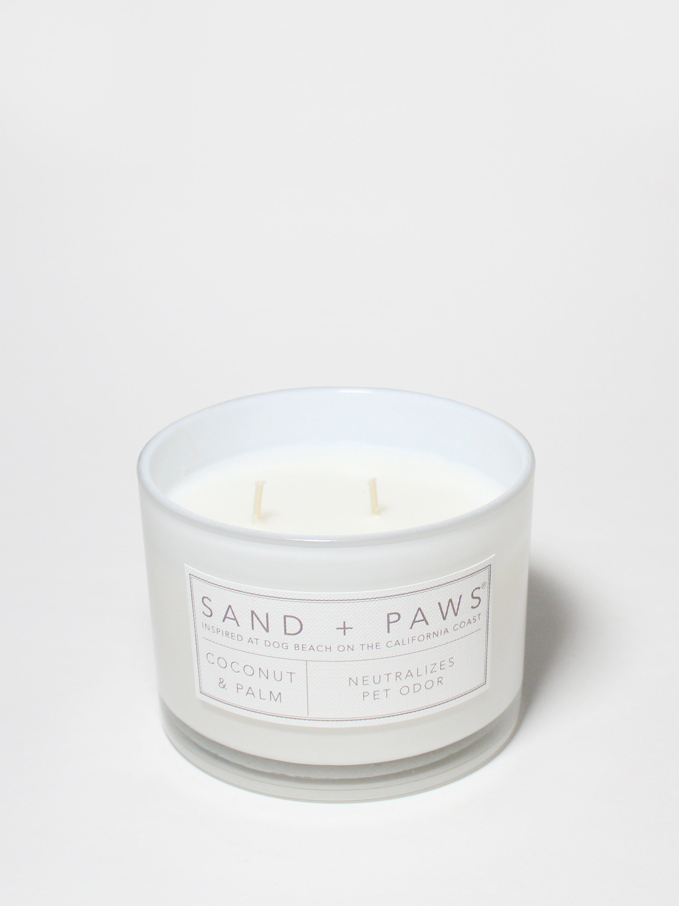 Sand + Paws Coconut & Palm 12 oz scented candle - Signature Scent