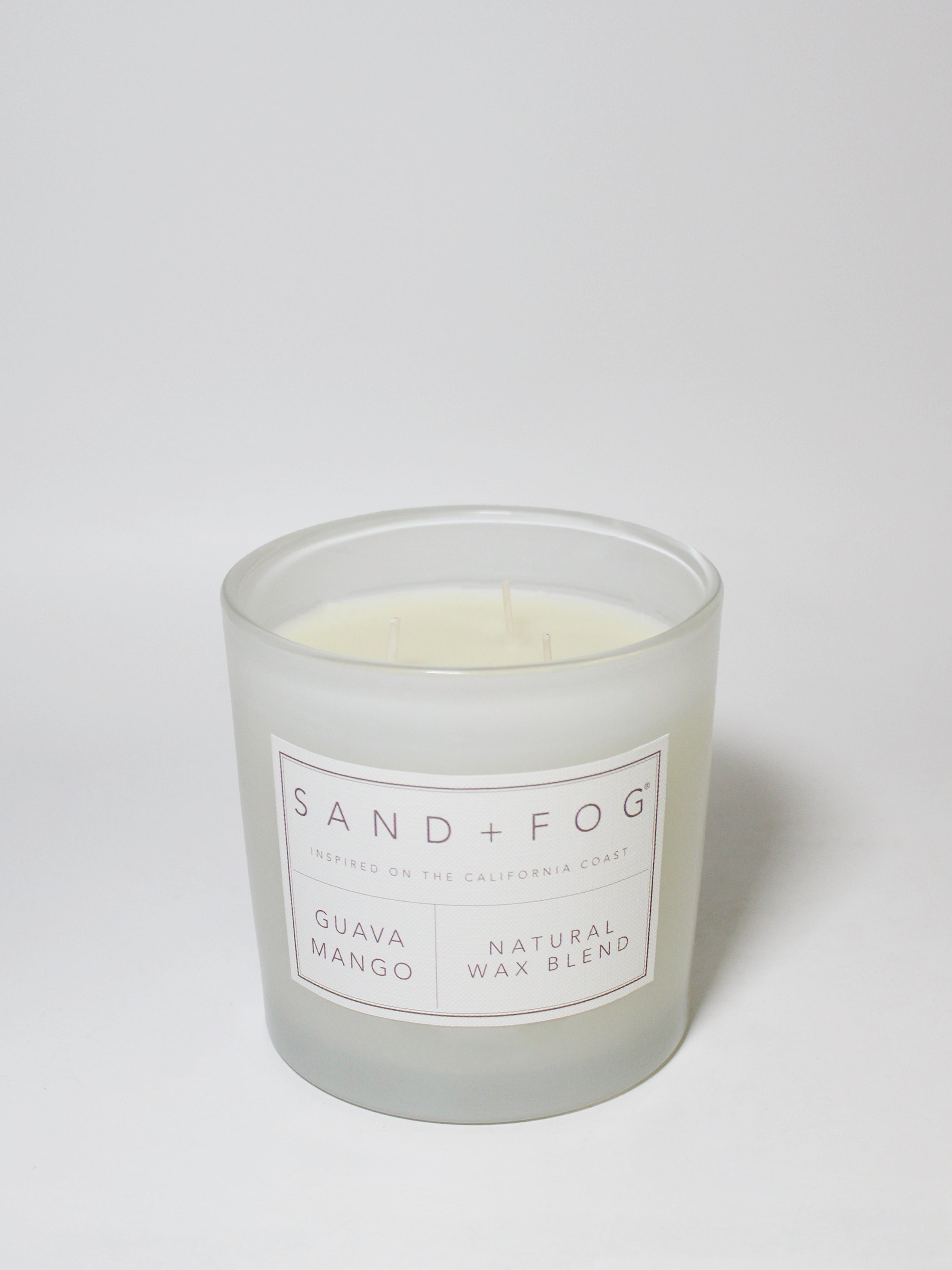 Guava Mango 21 oz scented candle - Scented Candle