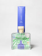Eucalyptus 100 ml Reed Diffuser - Everyday Essential