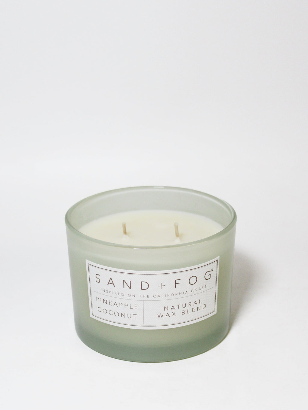 Pineapple Coconut 12 oz scented candle - Scented Candle
