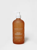 Spiced Gingerbread 15.7 oz Liquid Hand Soap - Hand Care