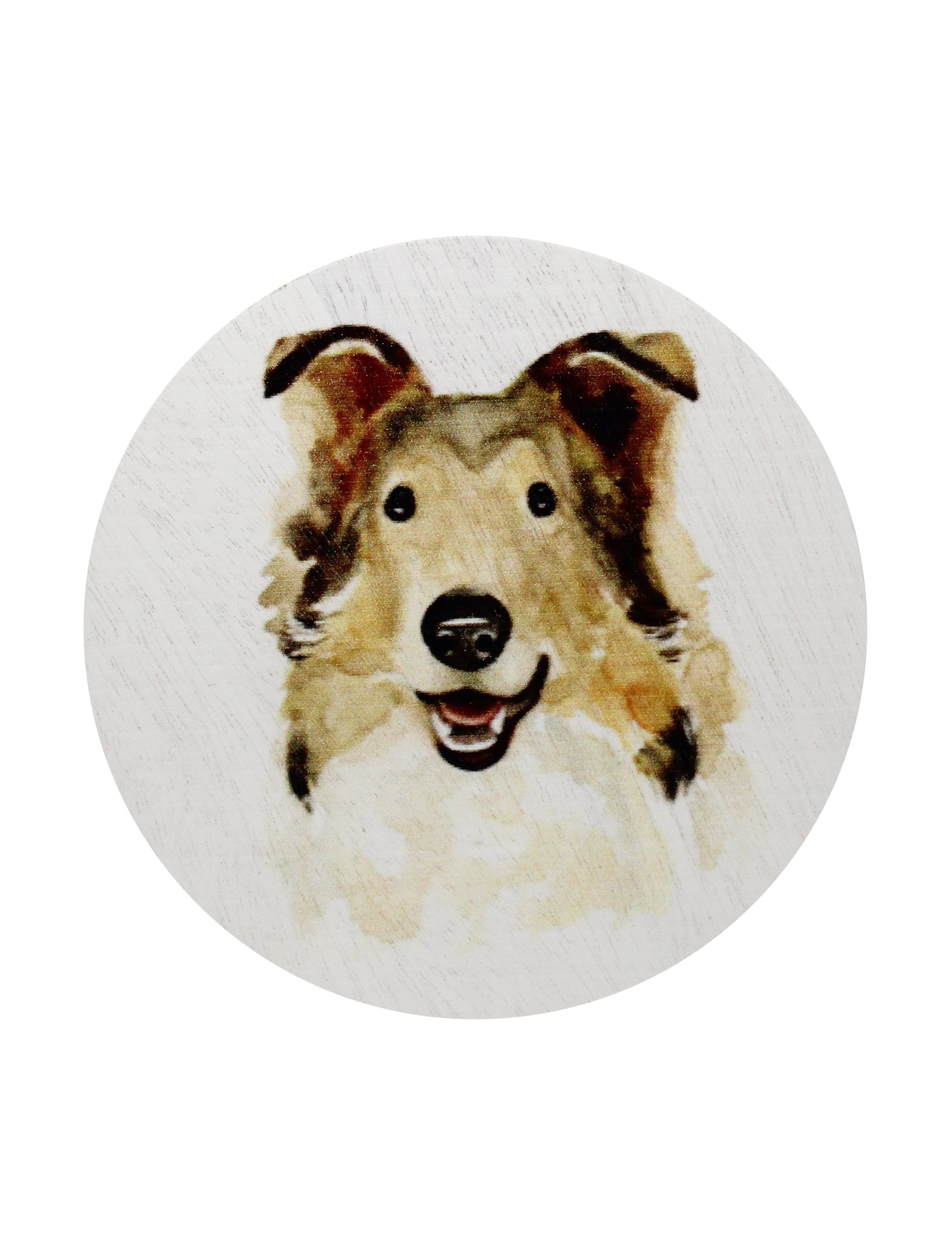 Sand + Paws Desert Rain 12 oz scented candle - Signature Scent