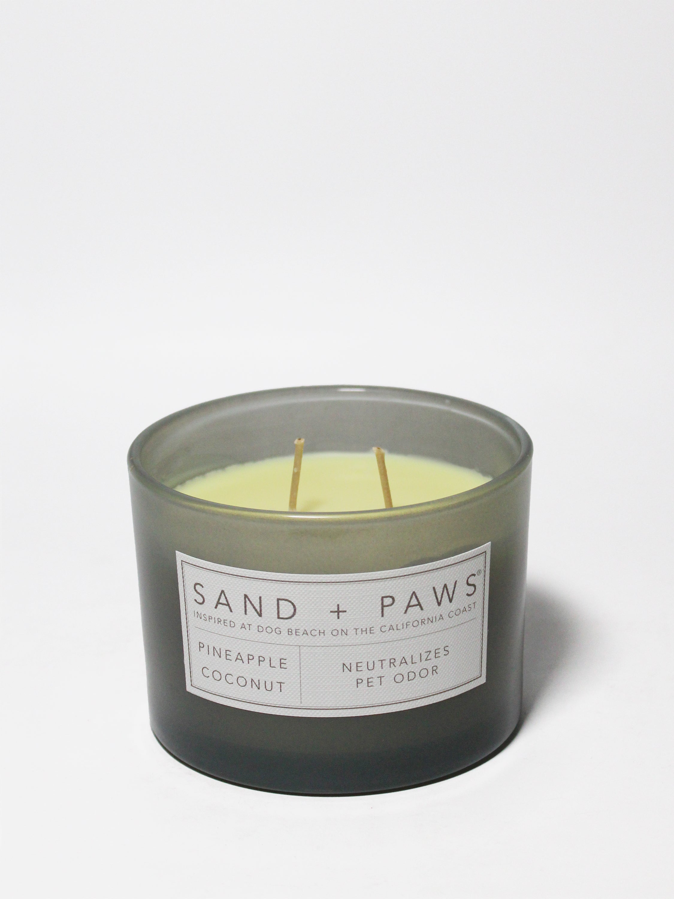Sand + Paws Pineapple Coconut 12 oz scented candle - Signature Scent