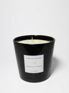 Tropical Citrus Natural Home 31 oz scented candle - Signature Scent