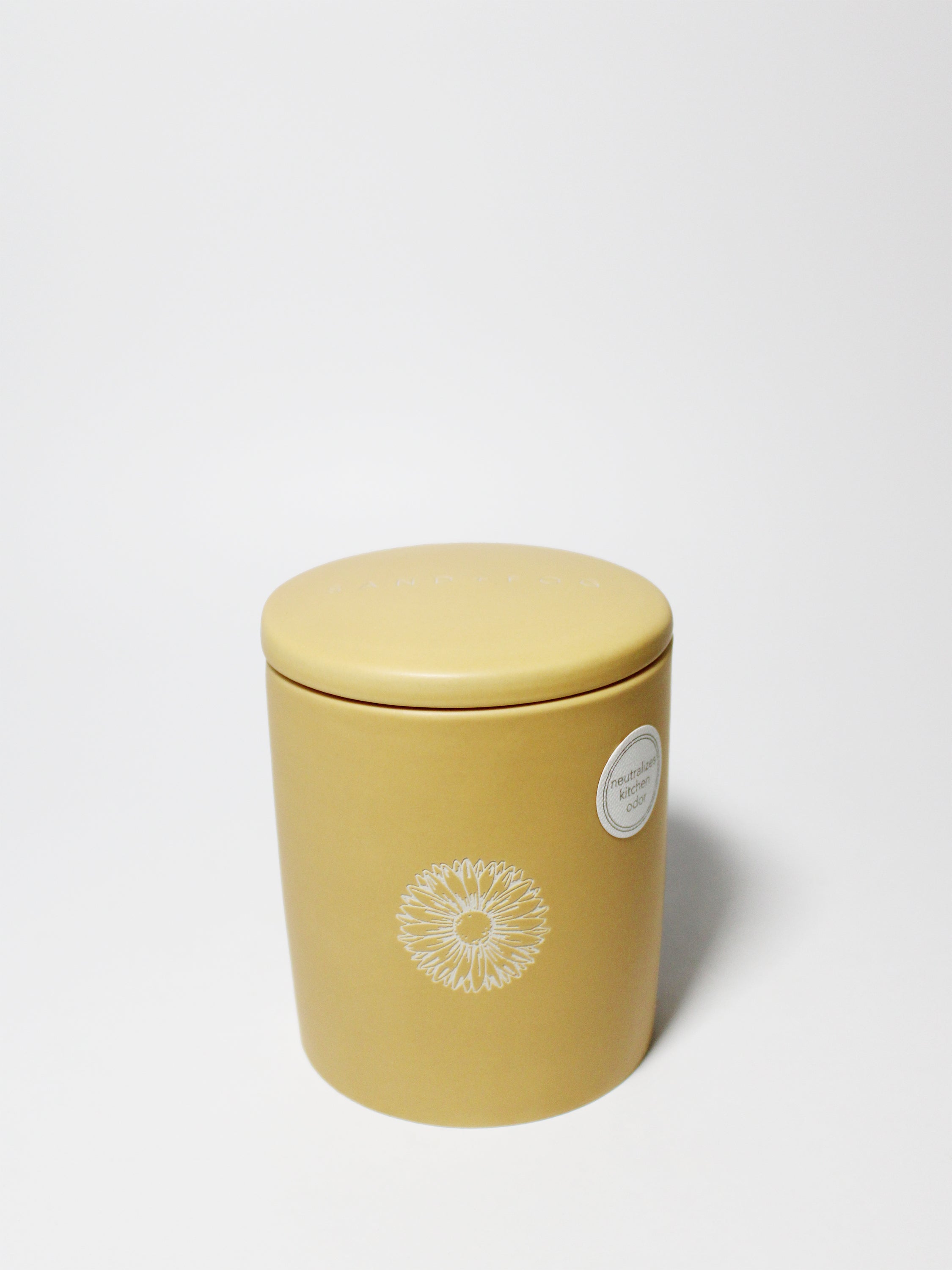 Sun Washed Citrus 12 oz scented candle - Scented Candle