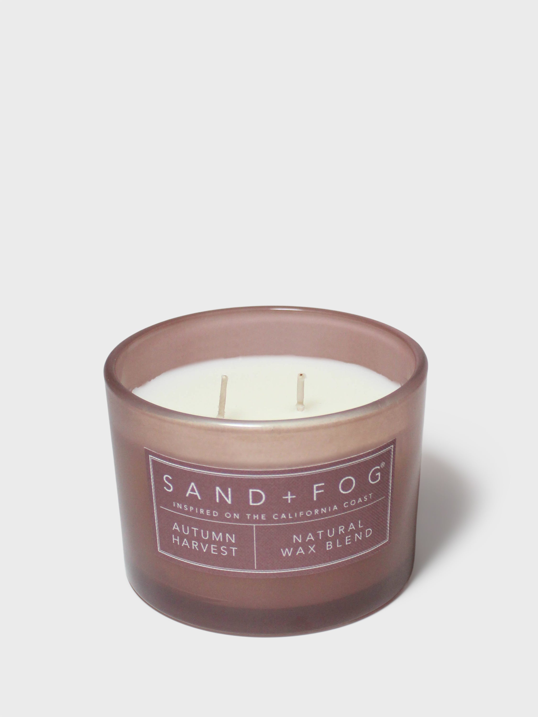Autumn Harvest 12 oz scented candle - Scented Candle