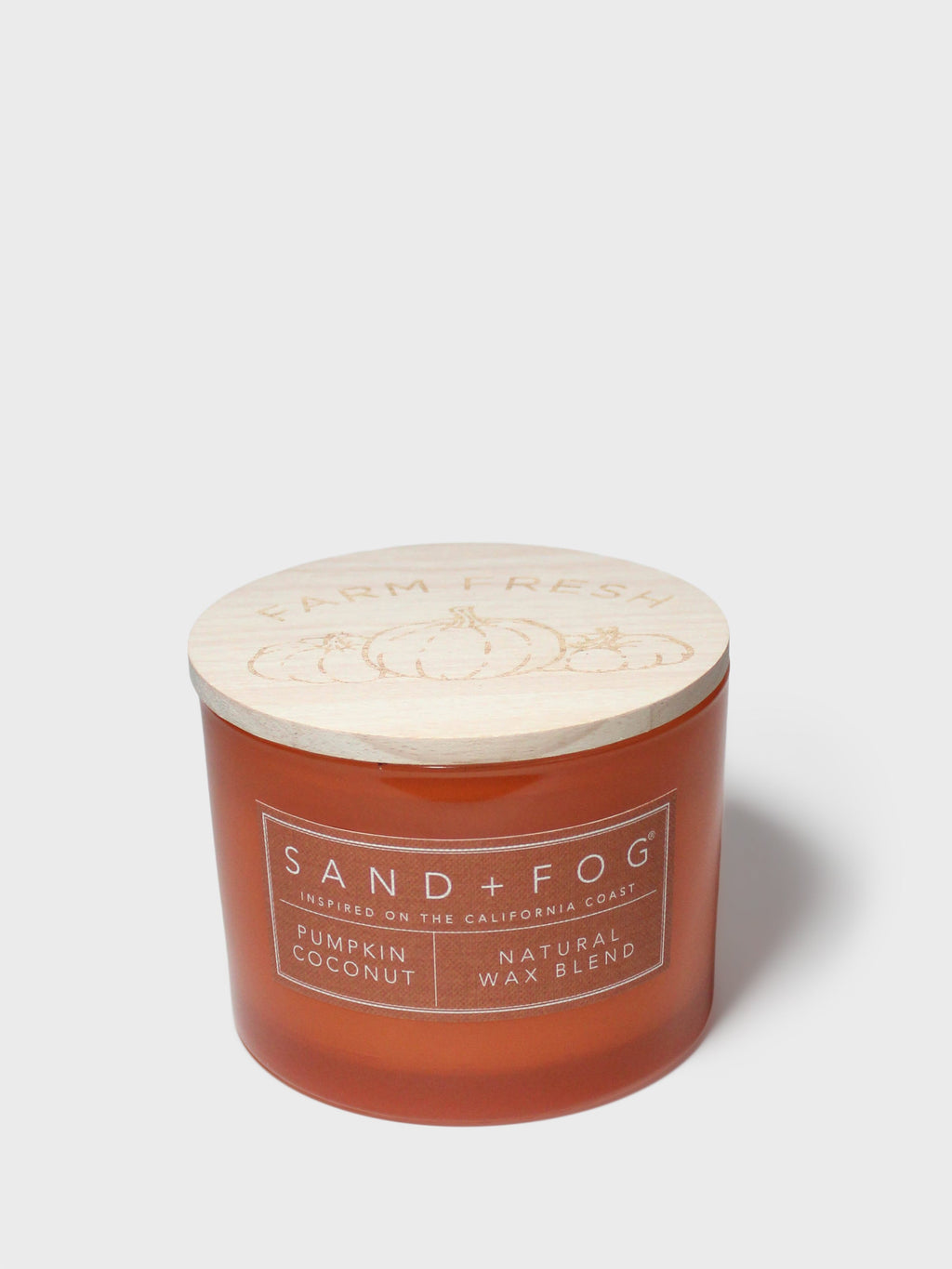 Pumpkin Coconut 12 oz scented candle - Scented Candle