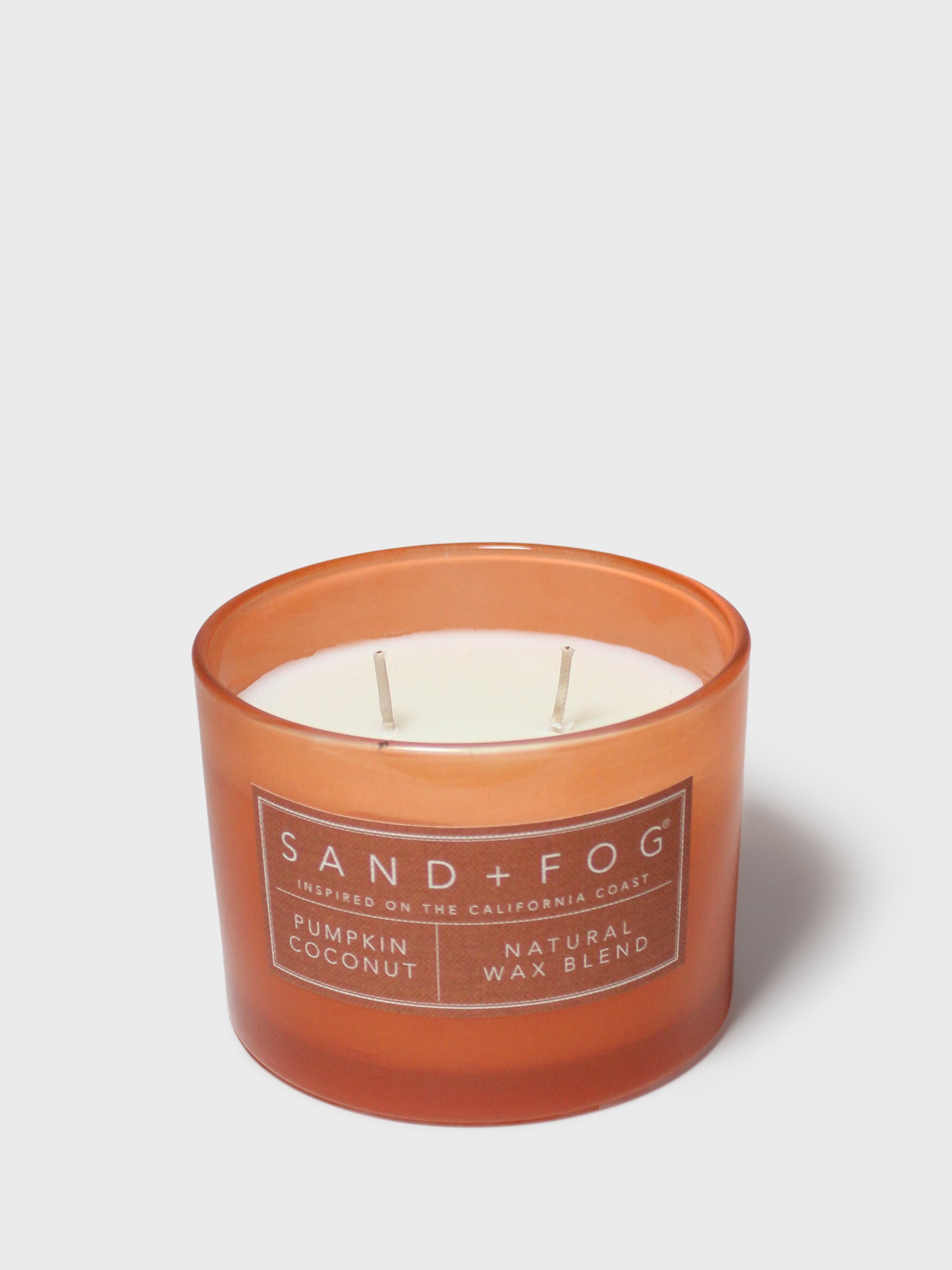 Pumpkin Coconut 12 oz scented candle - Scented Candle
