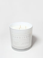 Whipped Vanilla Pumpkin 21 oz scented candle - Scented Candle