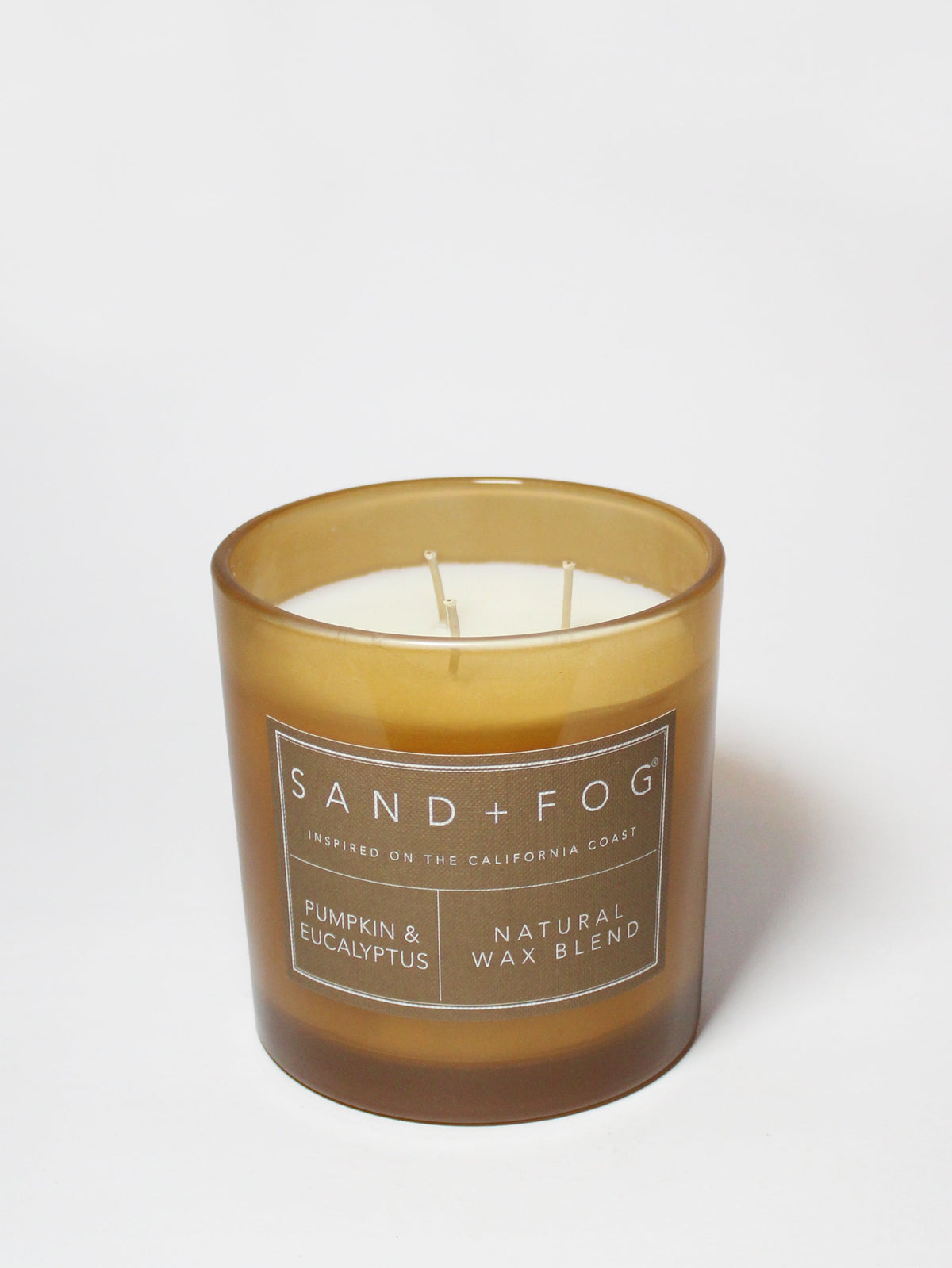 Pumpkin & Eucalyptus 21 oz scented candle - Scented Candle