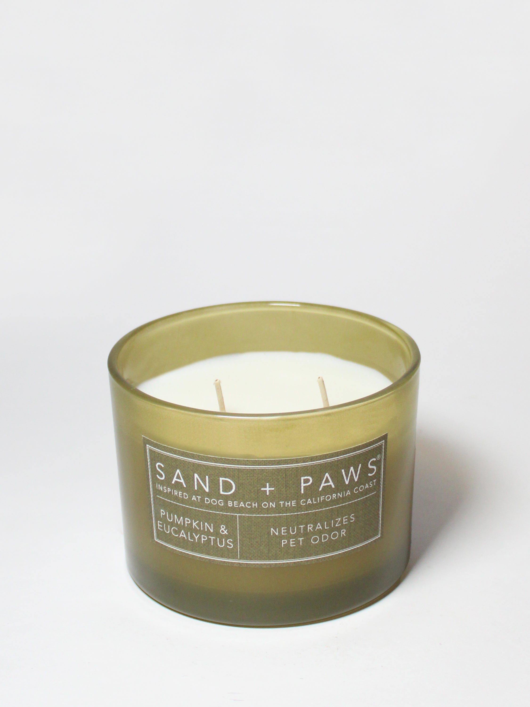 Sand + Paws Pumpkin & Eucalyptus 12 oz scented candle - Scented Candle