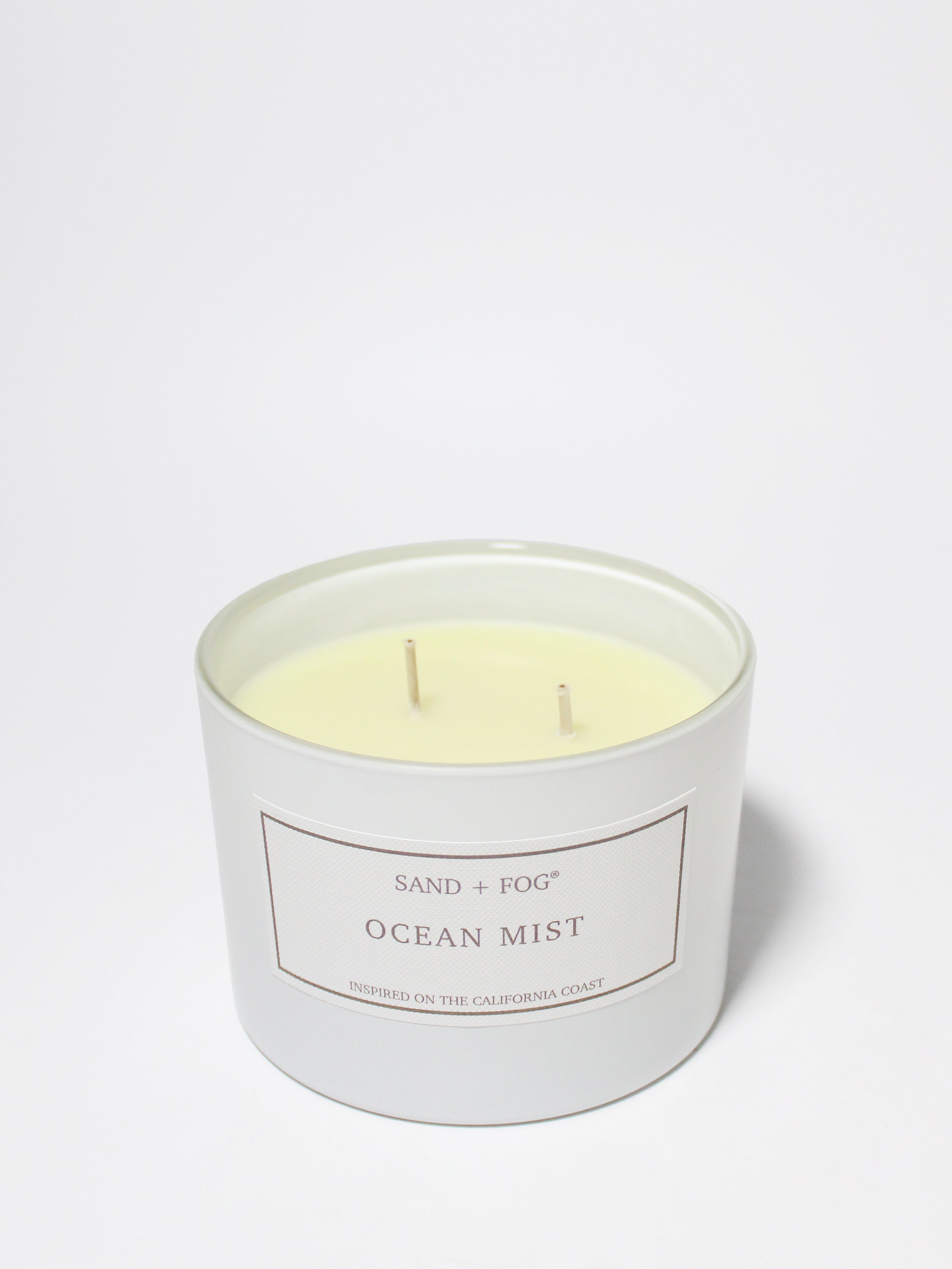 Ocean Mist 12 oz scented candle - Scented Candle