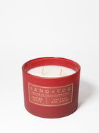 Winter White 12 oz scented candle - Scented Candle