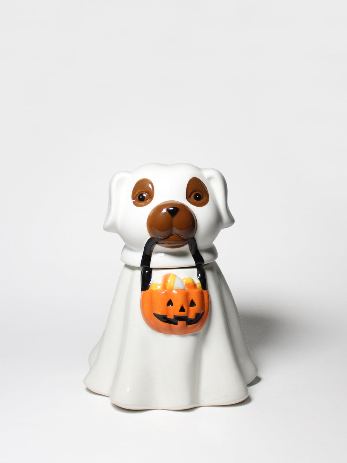 Sand + Paws Jack-o'-Lantern 11 oz scented candle - Signature Scent