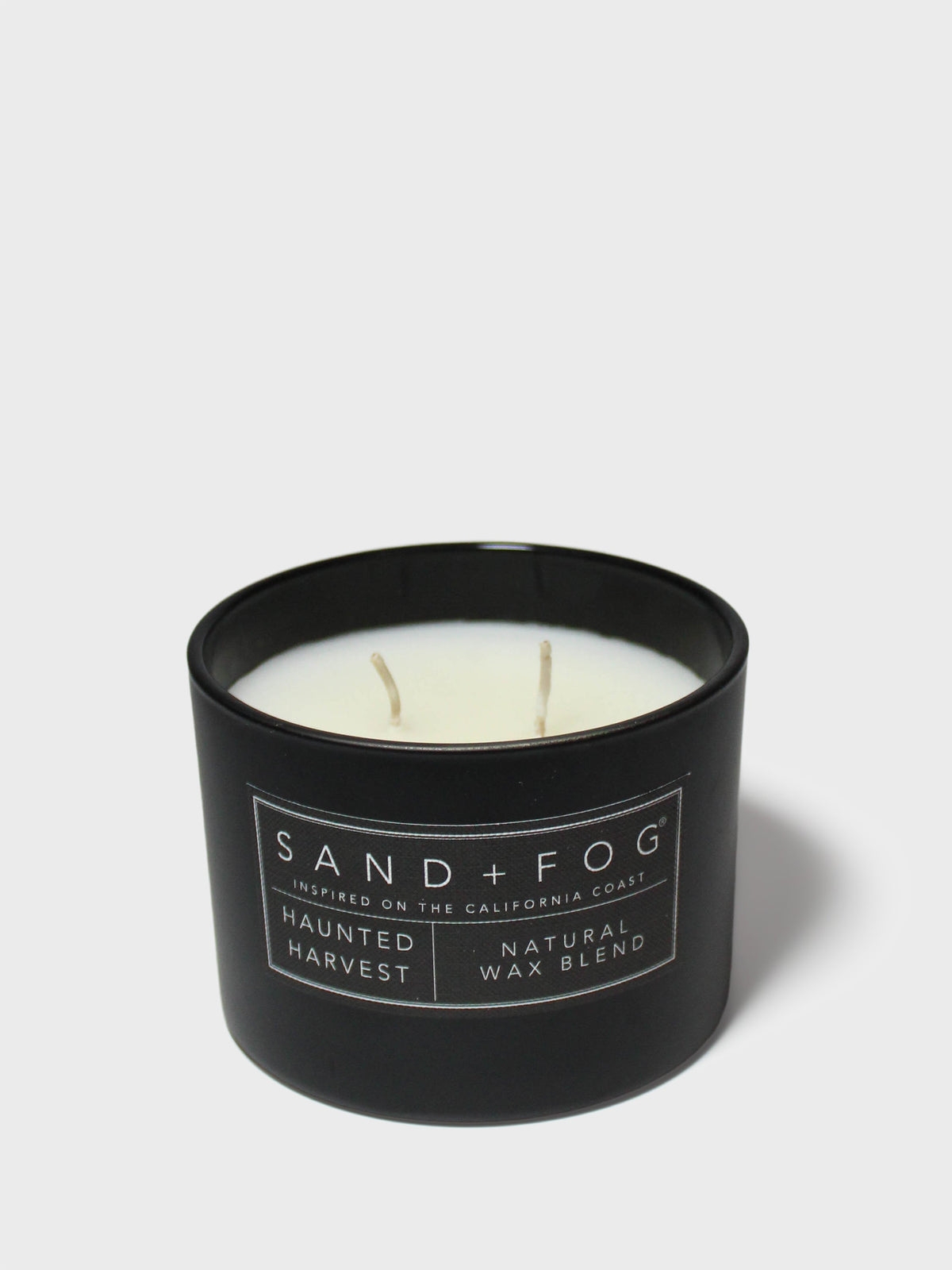 Haunted Harvest 12 oz scented candle - Scented Candle
