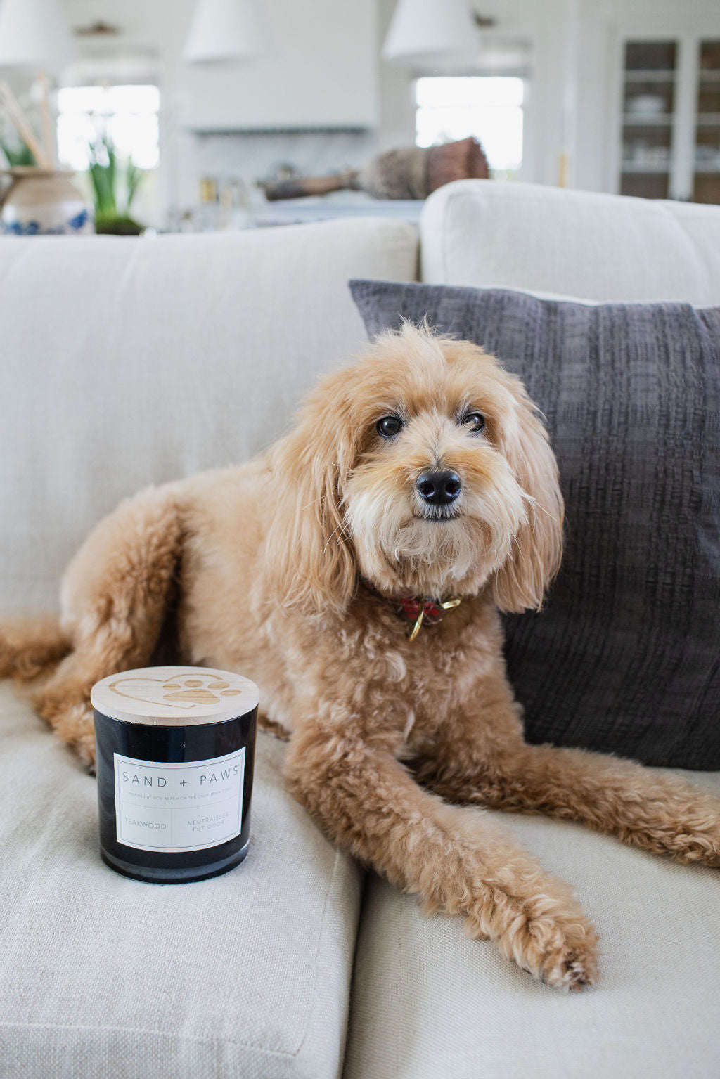 Sand + Paws Teakwood 21 oz scented candle - Signature Scent