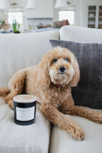 Sand + Paws Teakwood 21 oz scented candle - Signature Scent