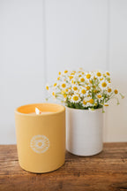 Sun Washed Citrus 12 oz scented candle - Scented Candle
