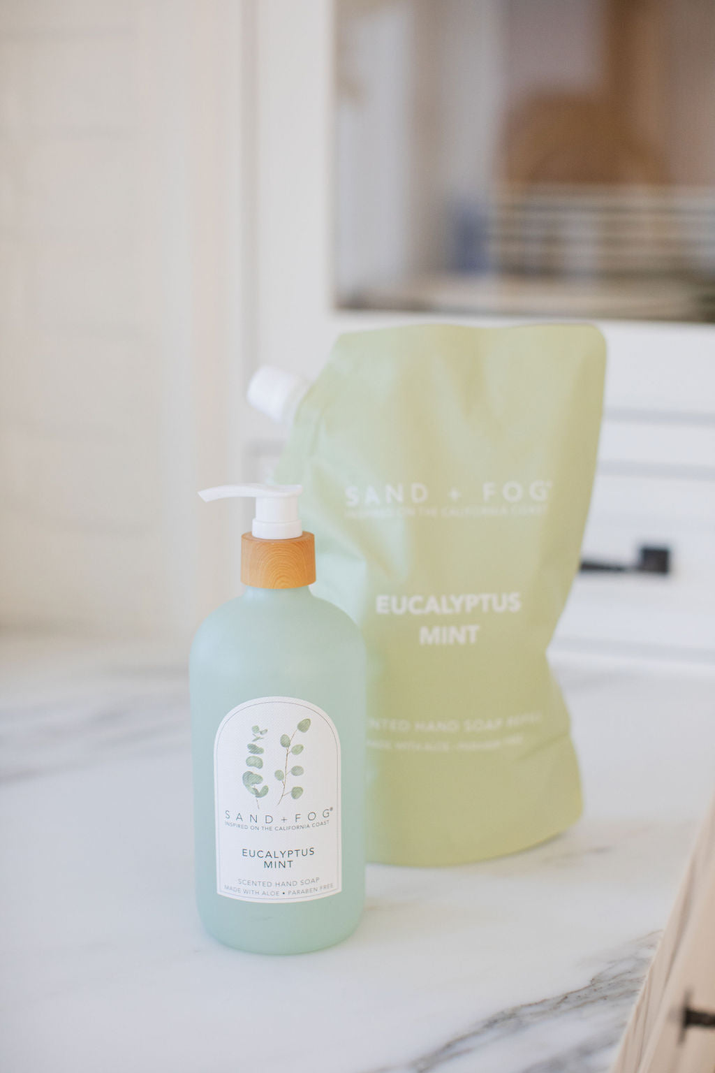 Eucalyptus Mint 34 oz Liquid Hand Soap Refill Bag - Hand Care
