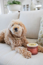Sand + Paws Apple Spice 12 oz scented candle - Signature Scent