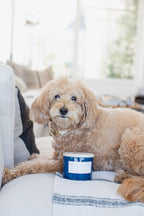 Sand + Paws White Vanilla 12 oz scented candle - Signature Scent