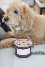Sand + Paws Amber & Fig 12 oz scented candle - Signature Scent