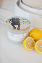 Sand + Paws Tropical Citrus 12 oz scented candle - Signature Scent