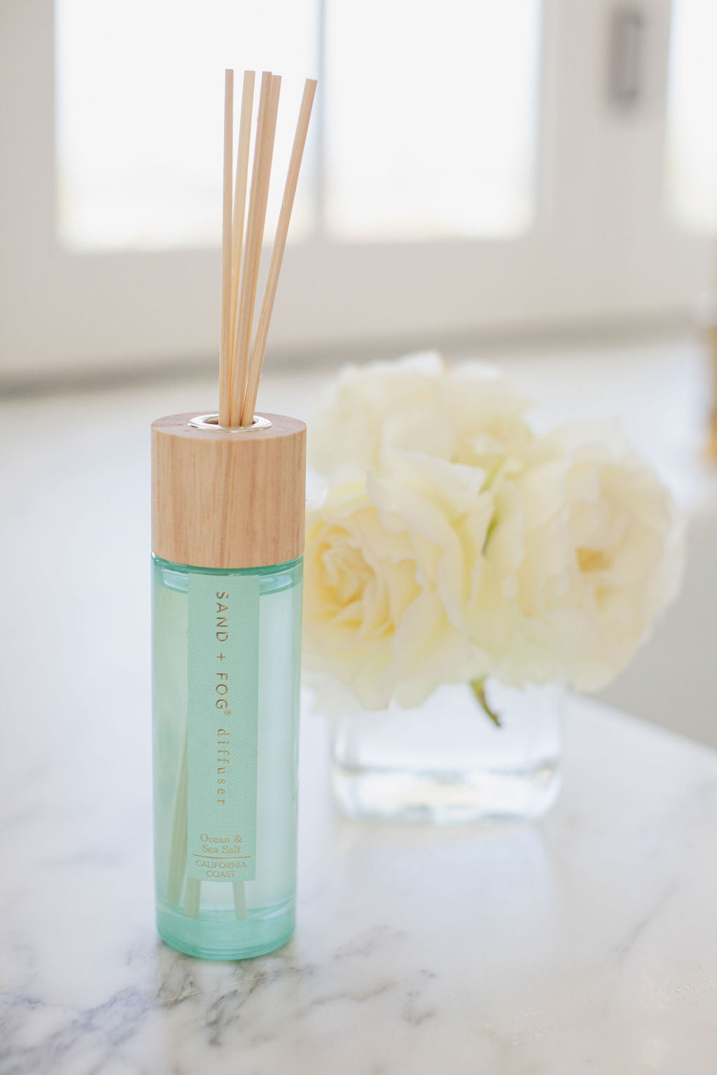 Ocean & Sea Salt 100 ml Reed Diffuser - Everyday Essential