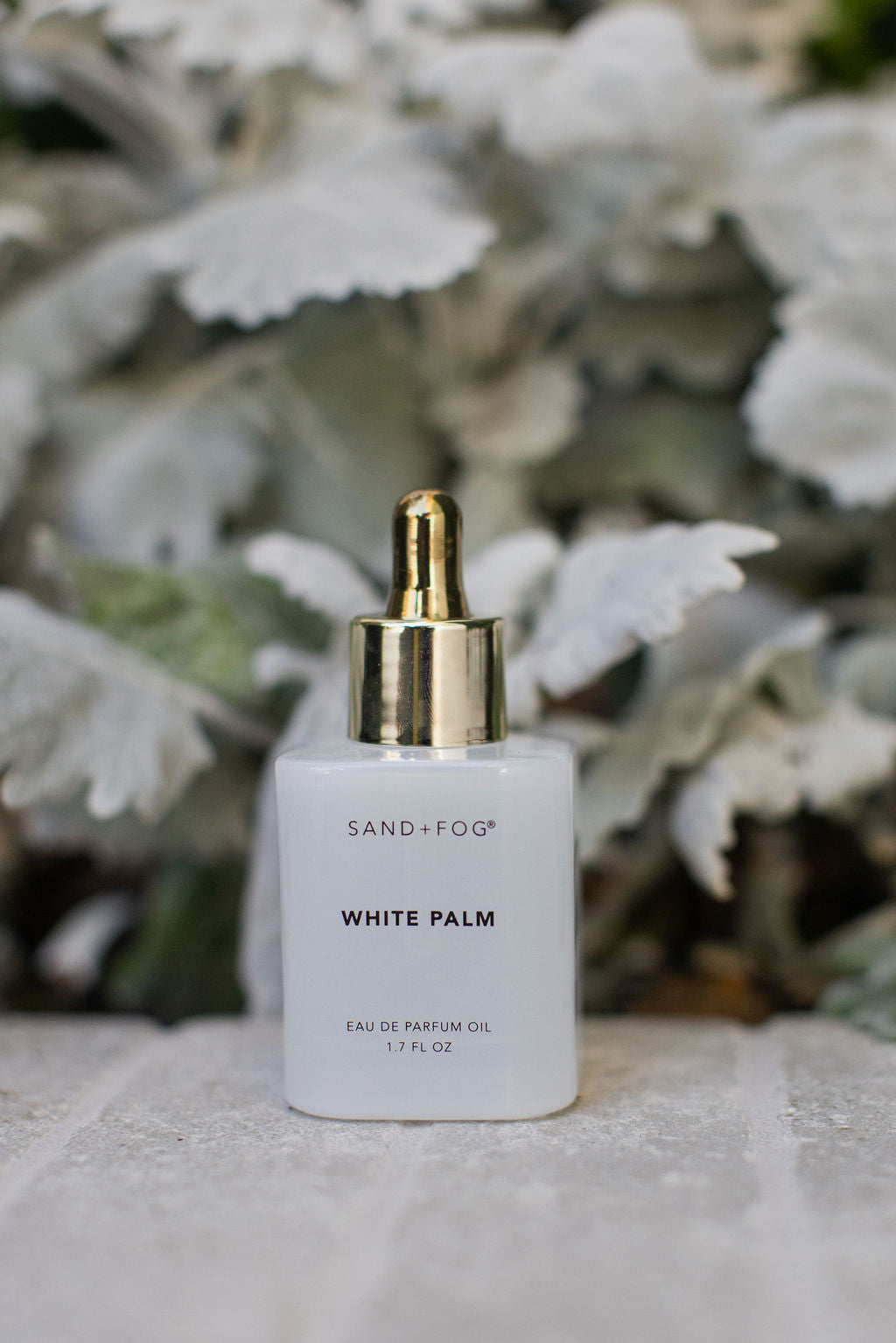 White Palm 50 ml Perfume Oil Dropper - Signature Scent
