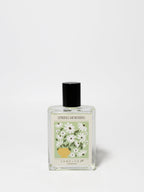 Spring Morning 50ml Perfume Oil Rollerball - Signature Scent