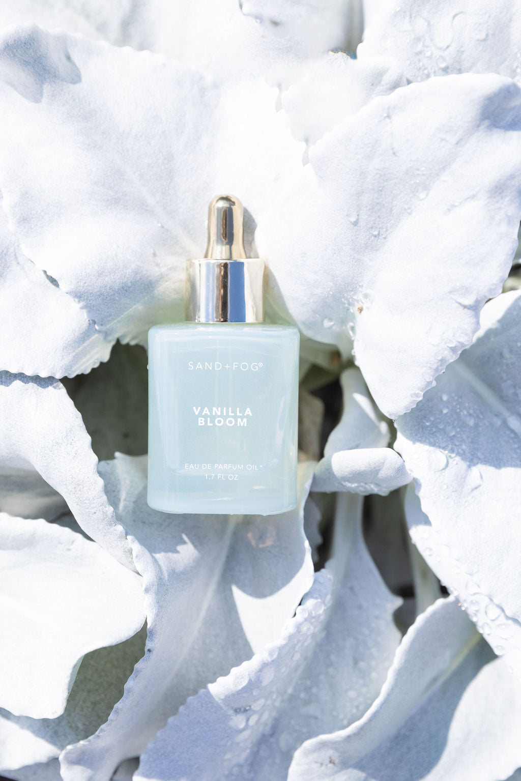 Vanilla Bloom 50 ml Perfume Oil Dropper - Signature Scent