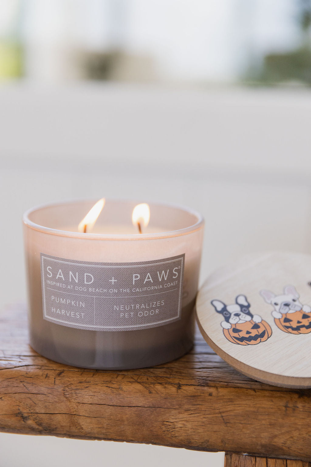 Sand + Paws Pumpkin Harvest 12 oz scented candle - Signature Scent