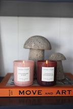 Strawberry Shake 10 oz scented candle - Scented Candle