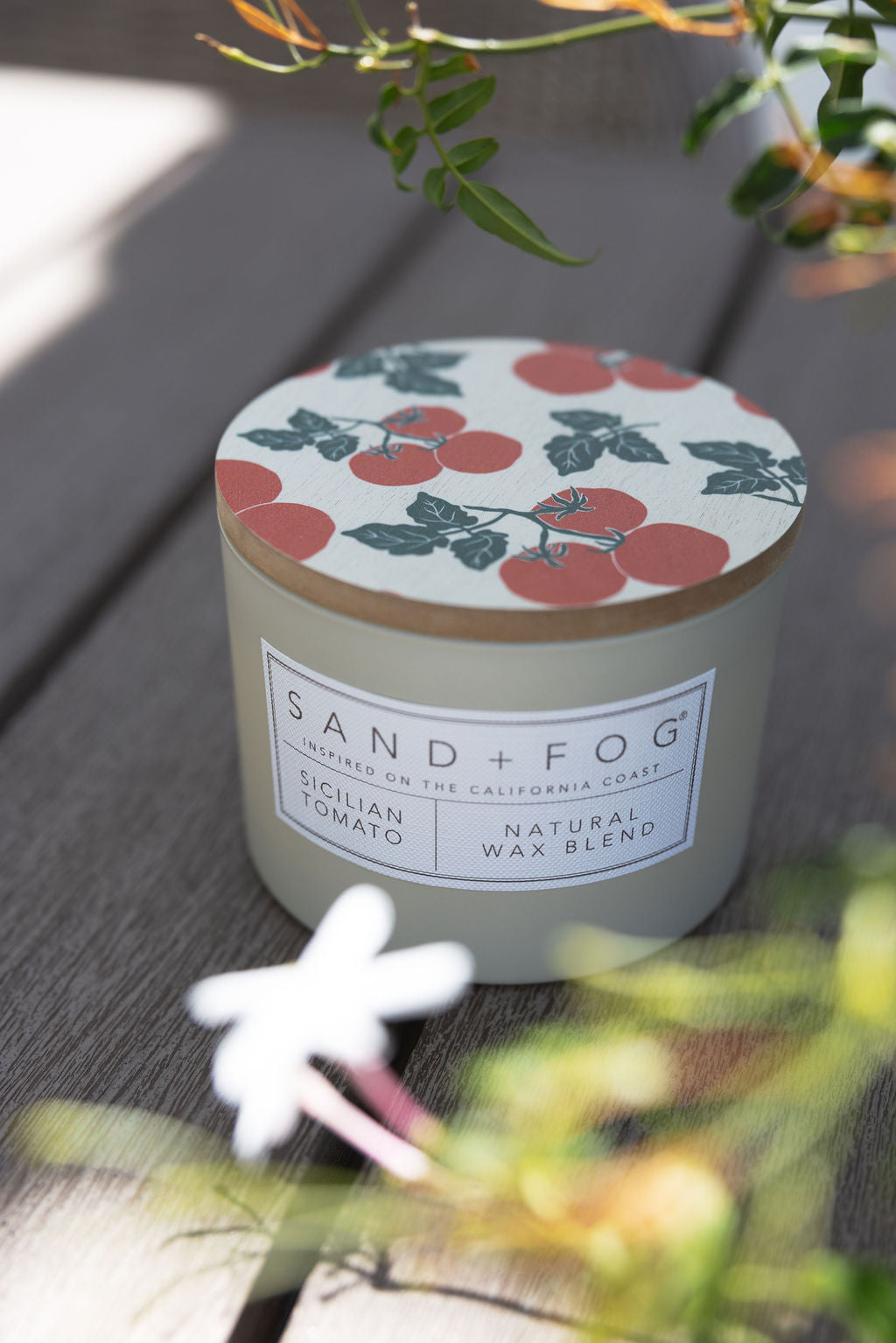 Sicilian Tomato 12 oz scented candle - Scented Candle