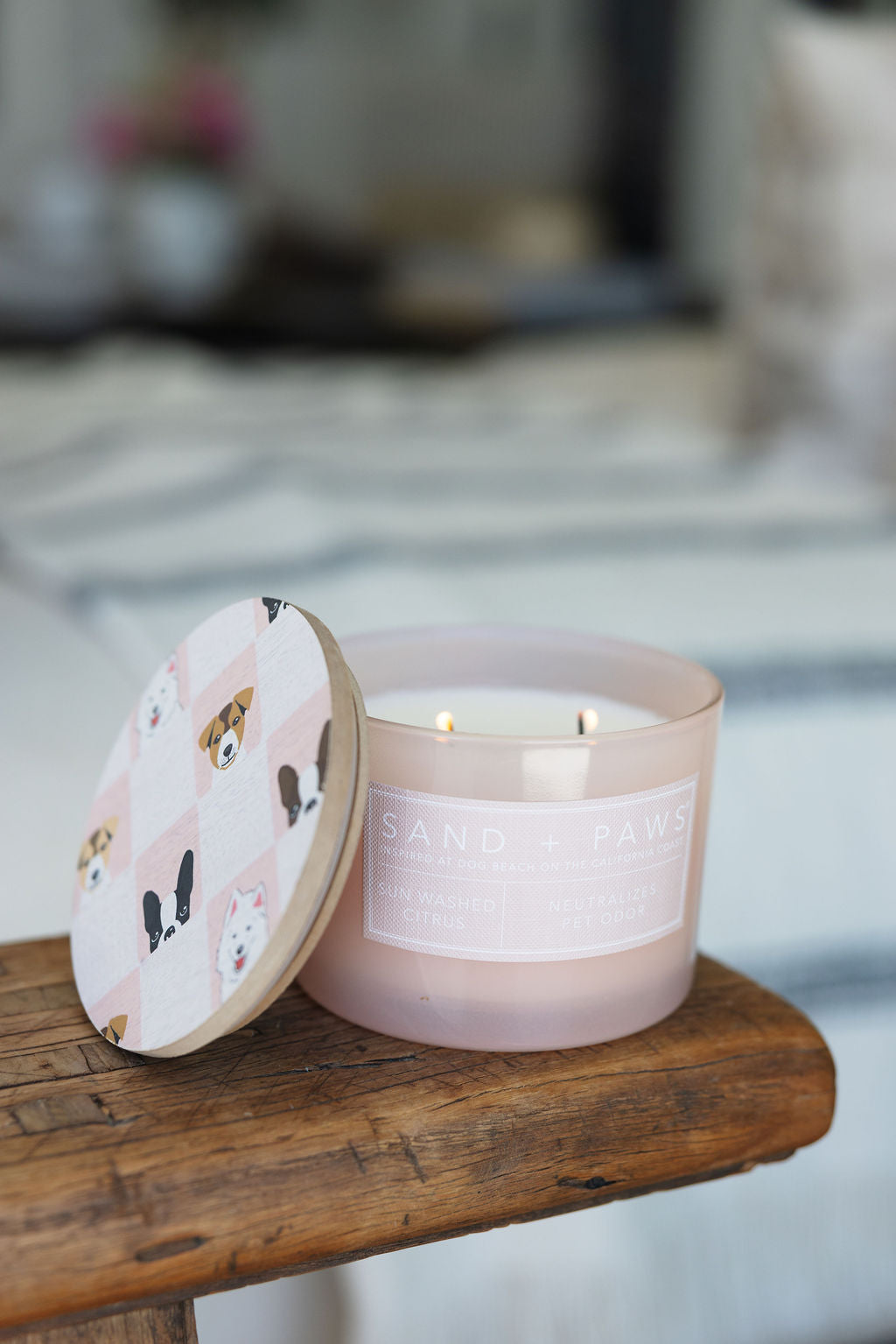 Sand + Paws Sun Washed Citrus 12 oz scented candle - Signature Scent