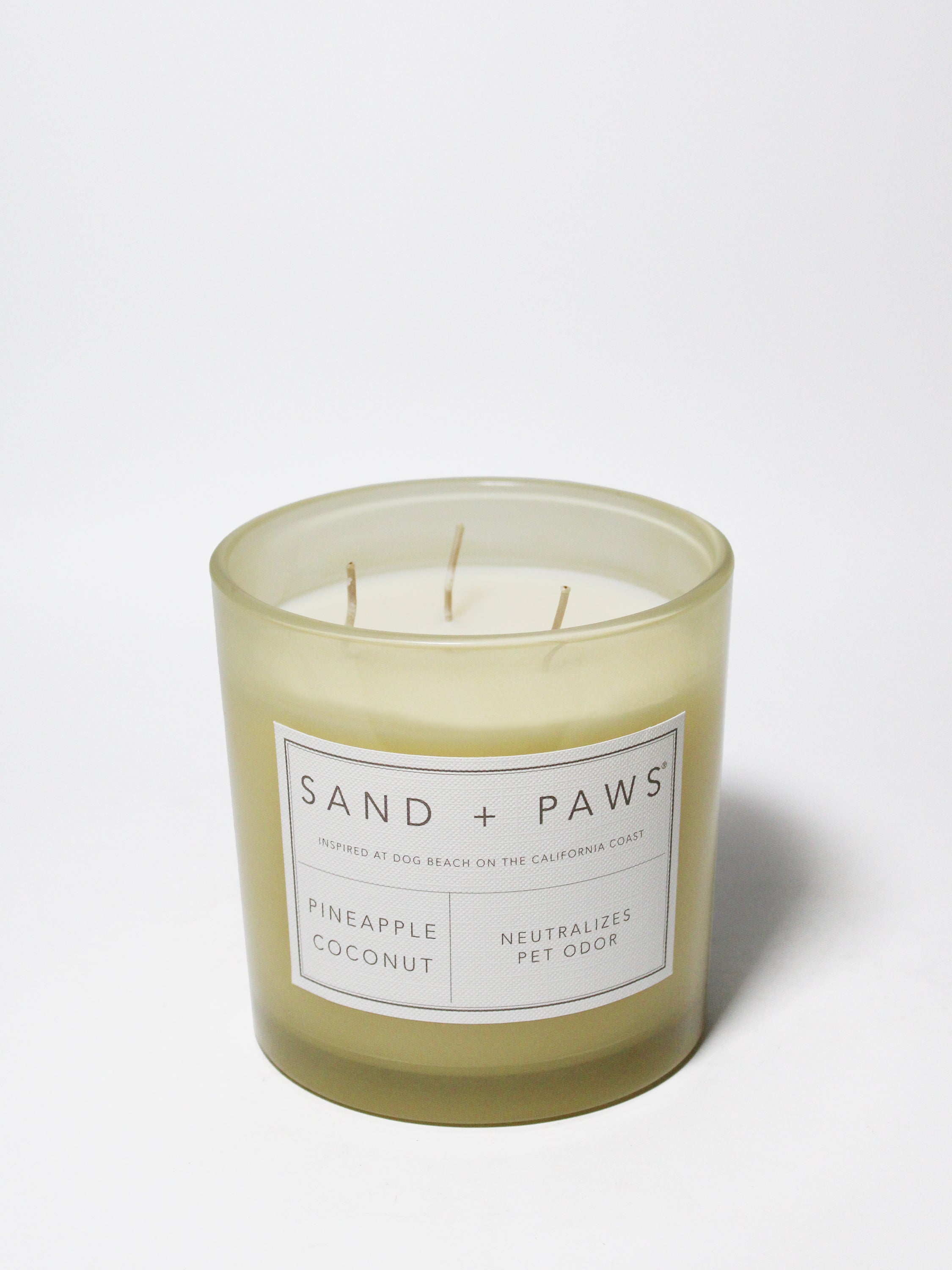 Sand + Paws Pineapple Coconut 21 oz scented candle - Signature Scent