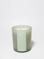 Eucalyptus 10 oz scented candle - Scented Candle